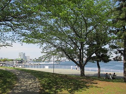 a0142083_13152390.jpg