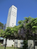 a0142083_1337513.jpg