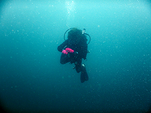 f0144385_19485091.jpg