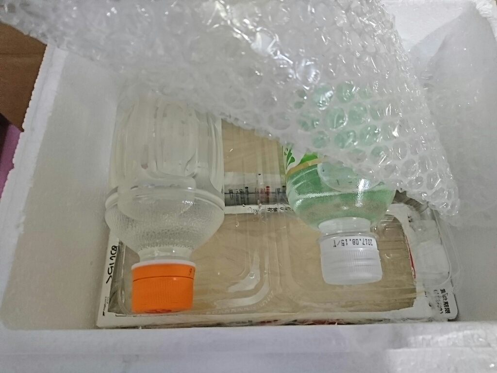 f0369087_21094508.jpg