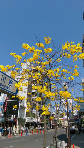 c0185092_05205464.jpg