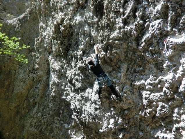 d0151699_01295417.jpg
