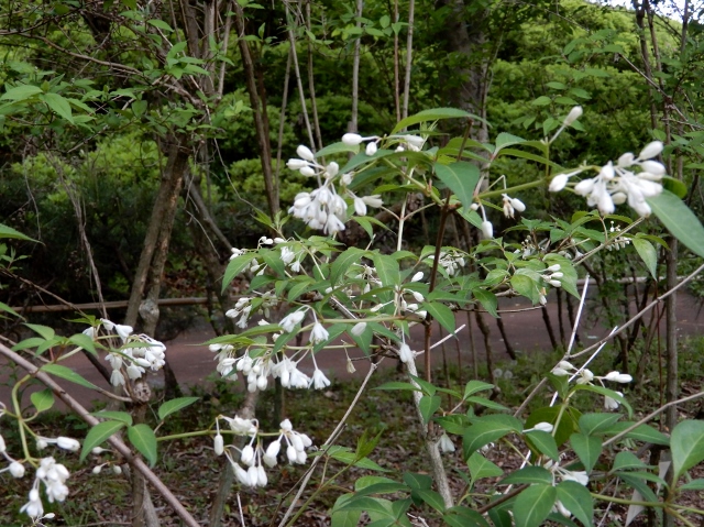 e0025300_1654530.jpg