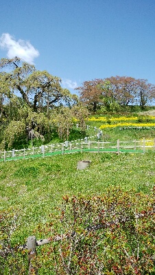 c0161301_17434741.jpg