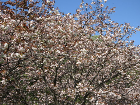 a0203003_20262630.jpg
