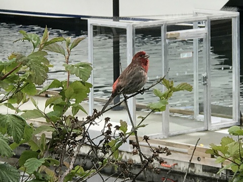 c0212604_9584233.jpg