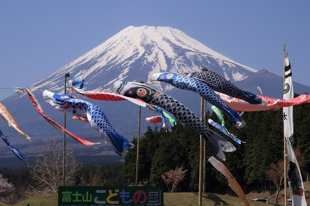 a0188405_21212642.jpg