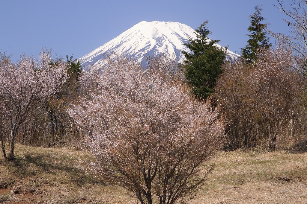 a0188405_21224648.jpg