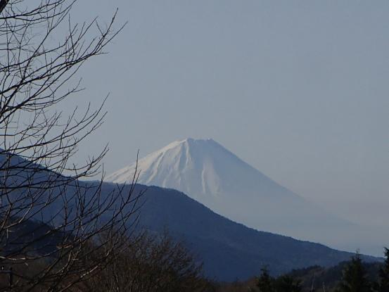 f0064906_16512870.jpg