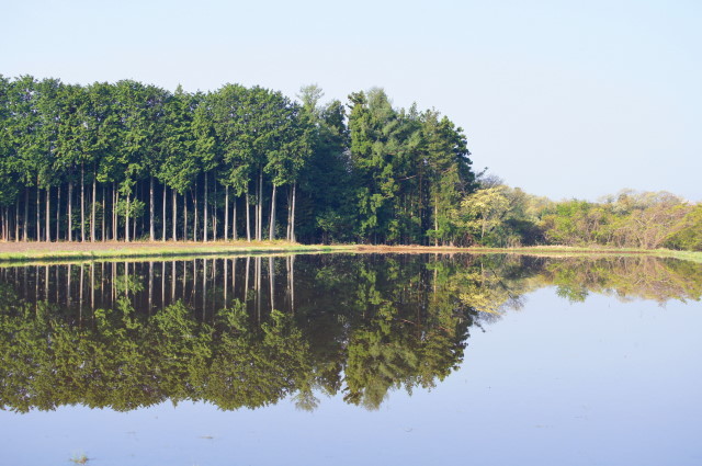 f0327308_15581679.jpg