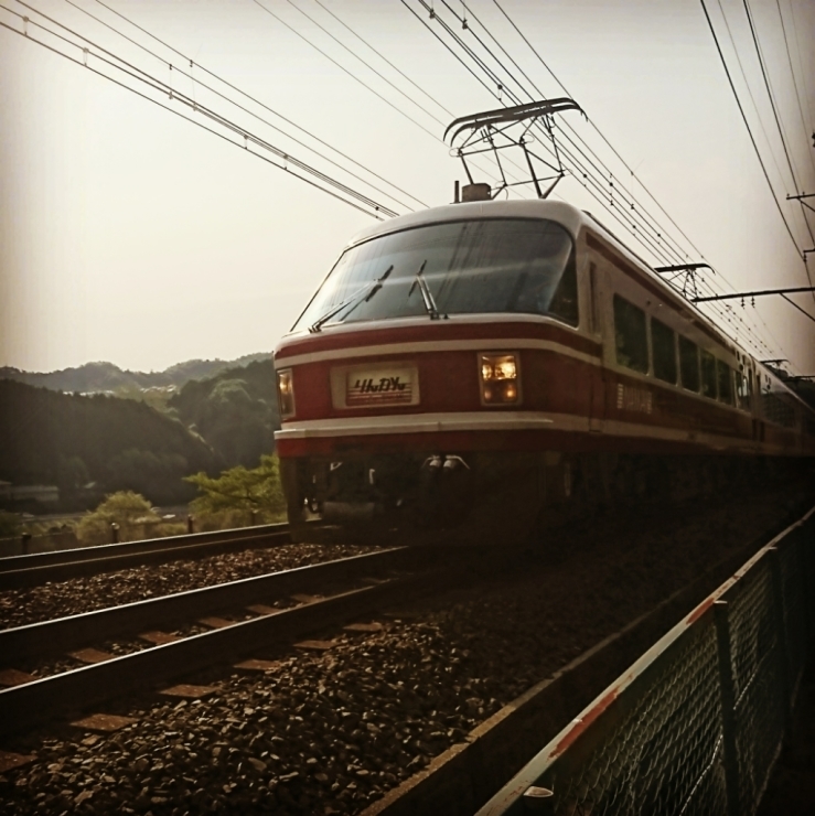 d0081210_07105956.jpg