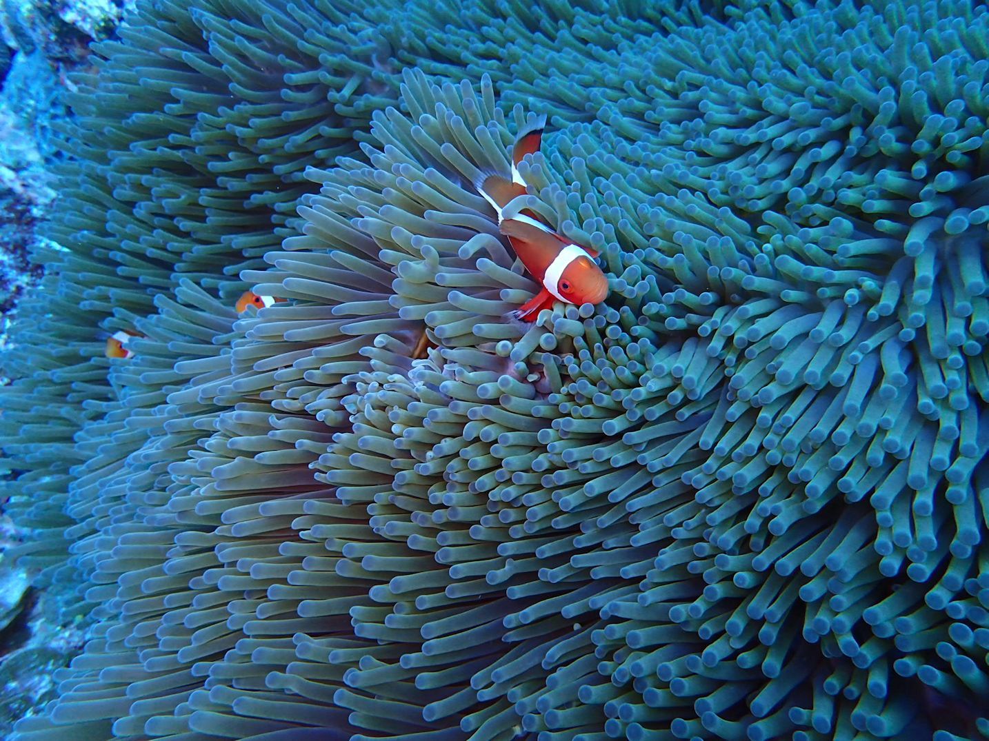 d0006512_00263243.jpg
