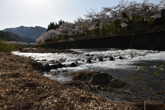 c0232813_10561240.jpg