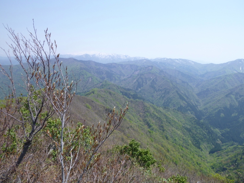 d0170615_16565262.jpg