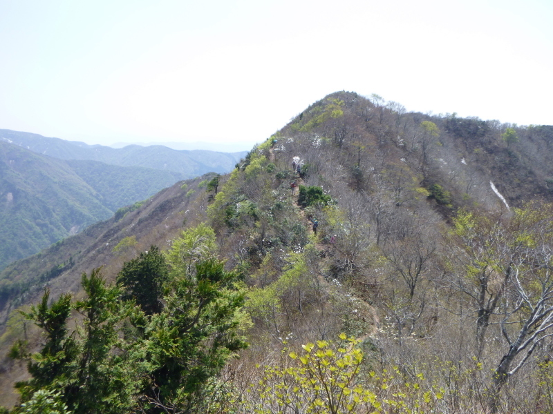 d0170615_16573623.jpg