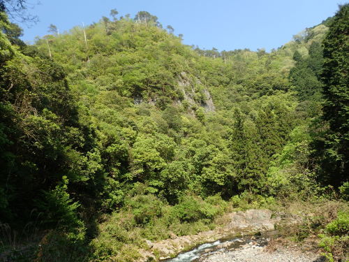 a0315918_21564024.jpg