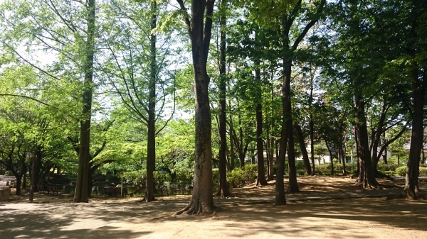 b0339522_15290483.jpg