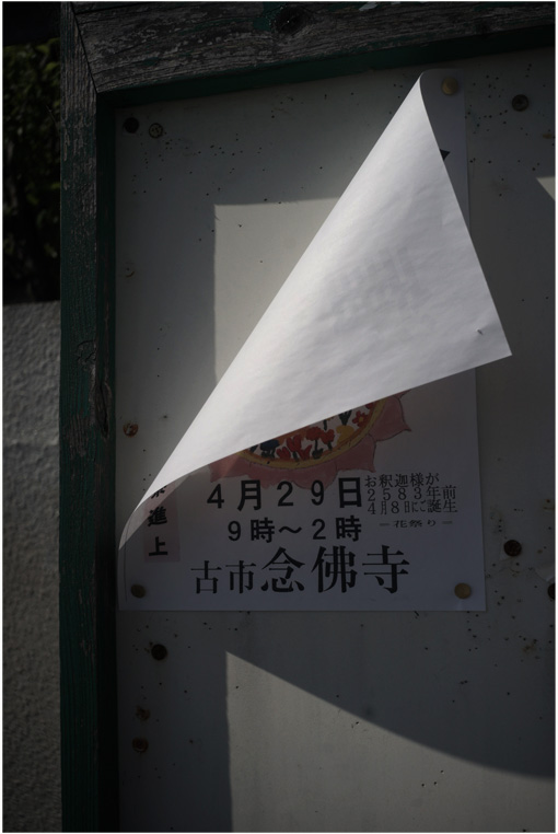 b0226423_10395656.jpg