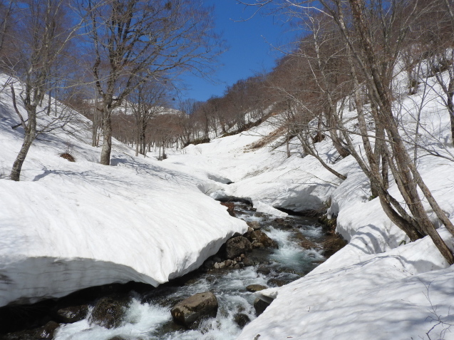 f0118332_23104920.jpg