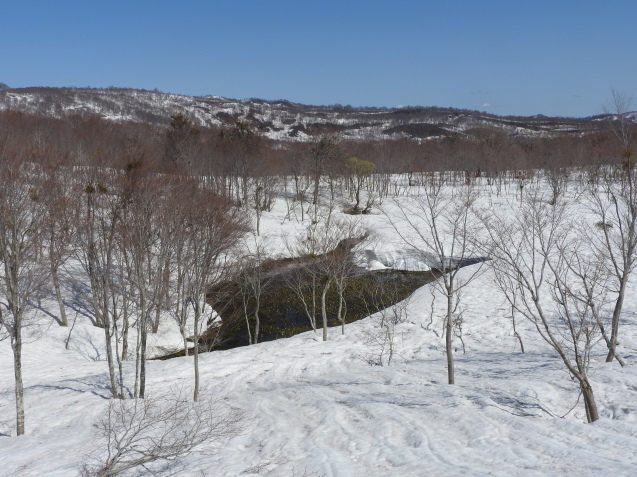 f0118332_23142603.jpg
