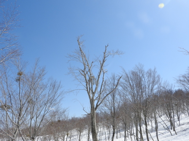 f0118332_23143775.jpg