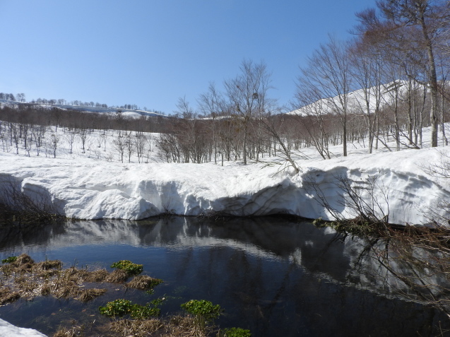 f0118332_23161541.jpg