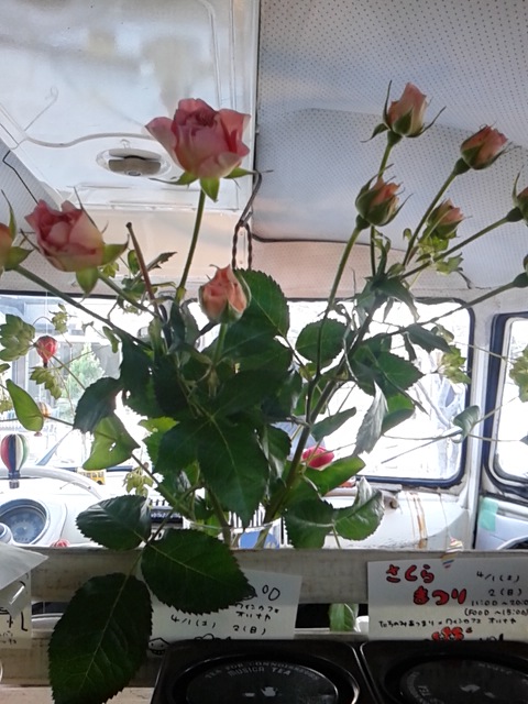 d0014133_12421490.jpg