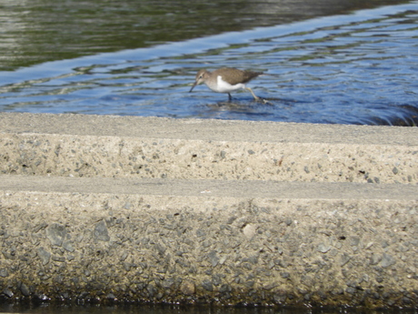 f0113136_20321798.jpg
