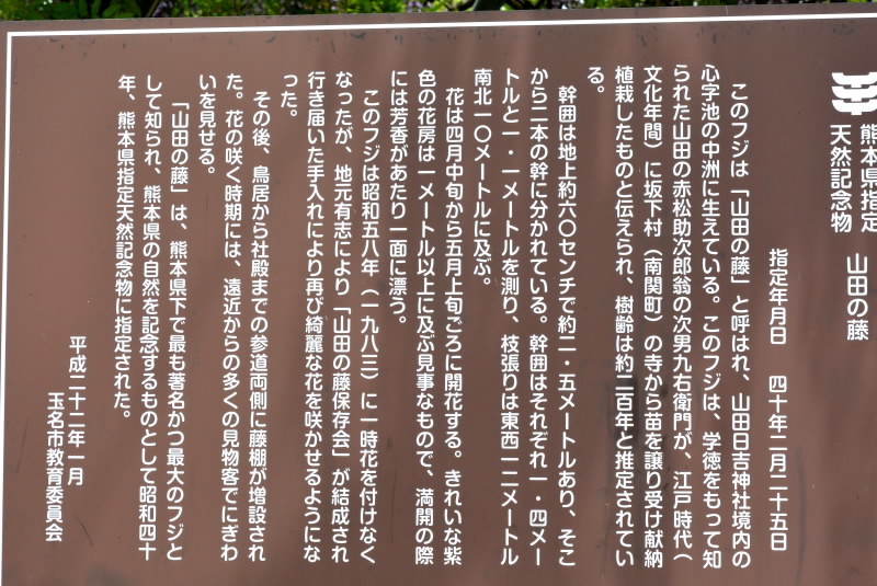 e0056537_19120637.jpg