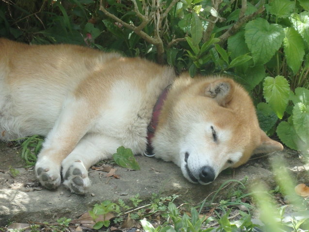 a0054240_2115891.jpg