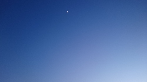 f0326946_01180234.jpg