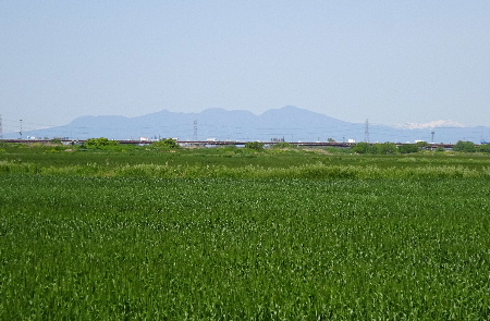 e0172950_21254556.jpg