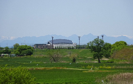 e0172950_21262746.jpg
