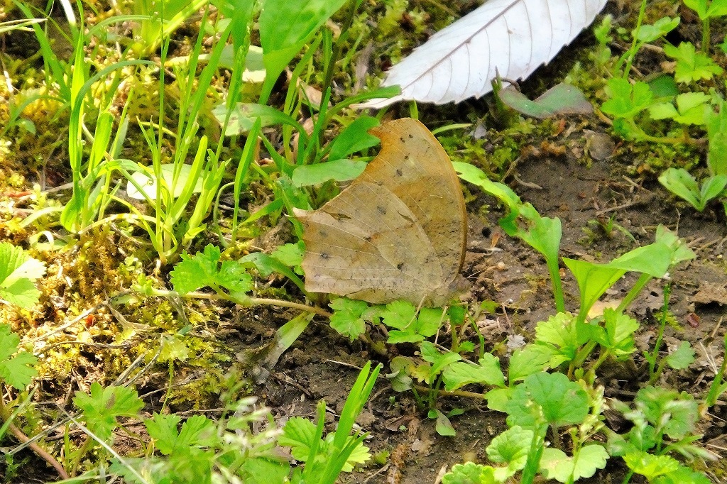 b0236251_11264121.jpg