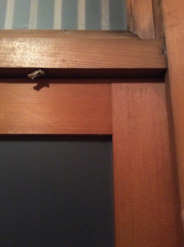 c0074553_07270304.jpeg