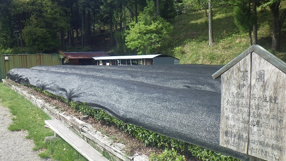 a0166454_14515577.jpg