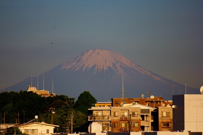 a0248459_15365000.jpg