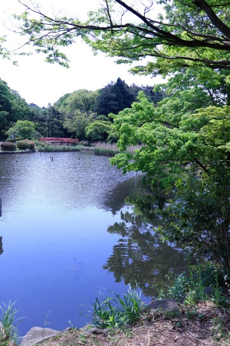 a0248459_15515920.jpg