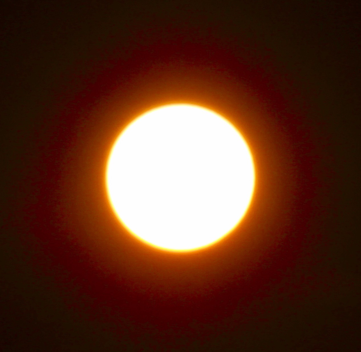 a0248459_15592718.jpg