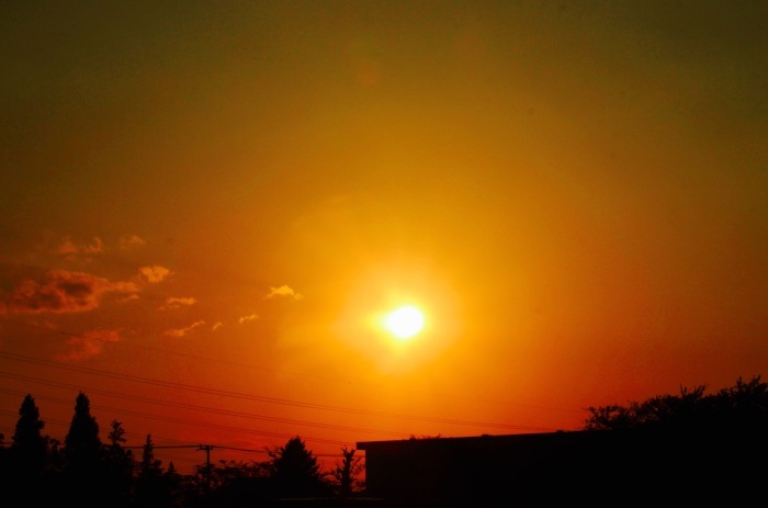 a0248459_16001104.jpg