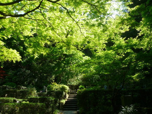 c0167359_17325948.jpg