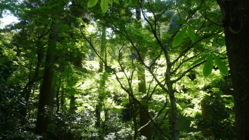 c0167359_17340620.jpg