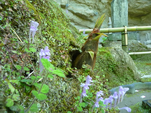 c0167359_17341244.jpg