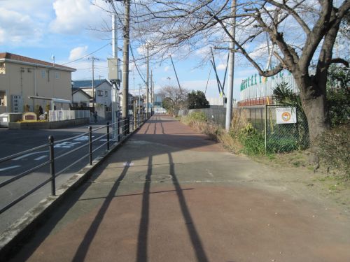 b0206463_15292813.jpg