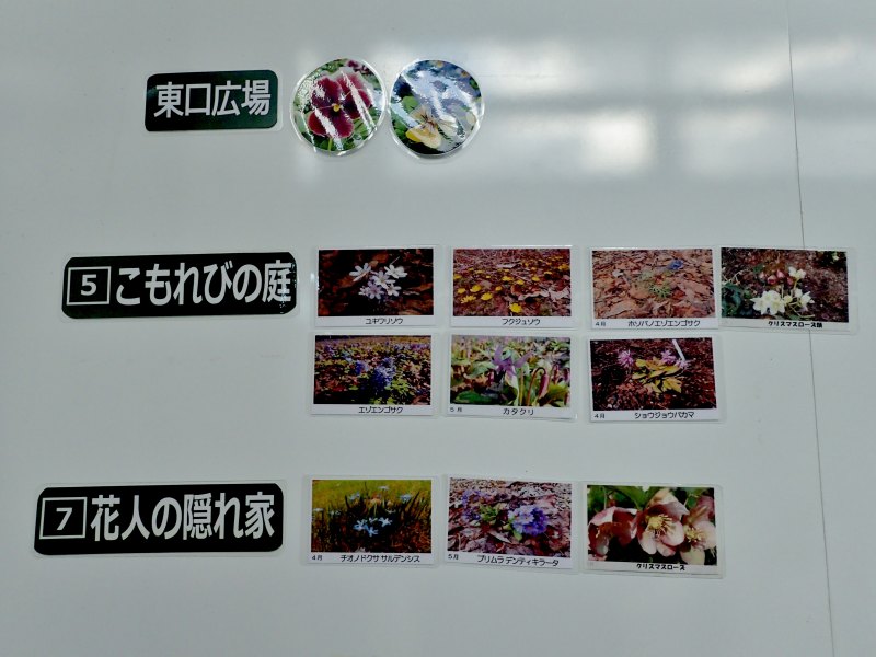 c0183777_15355517.jpg