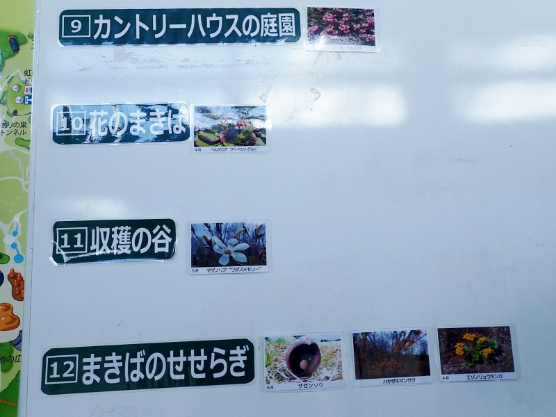 c0183777_1536771.jpg