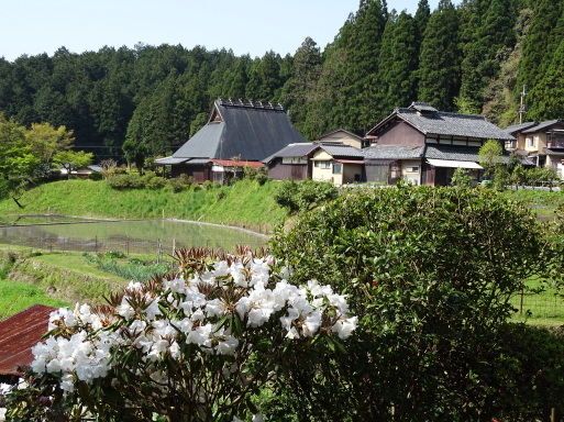 b0159780_14233019.jpg