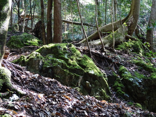 b0159780_14301520.jpg