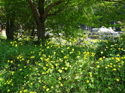 b0159780_14460997.jpg