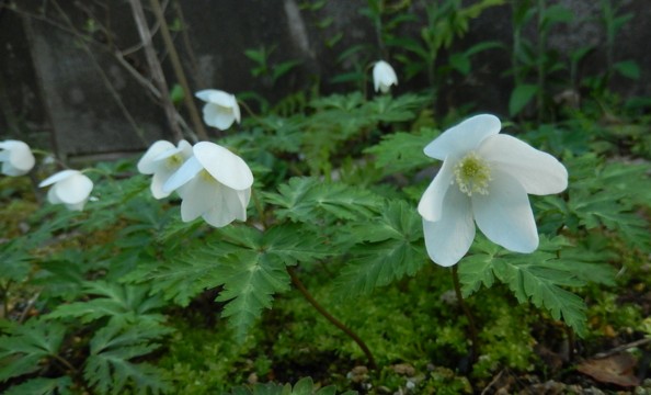 c0144185_220586.jpg